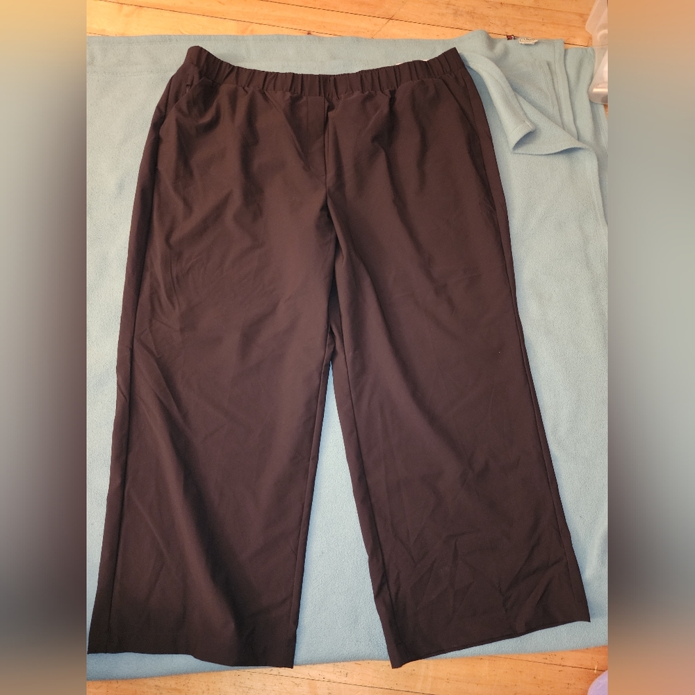 Lane bryant wide leg size 26